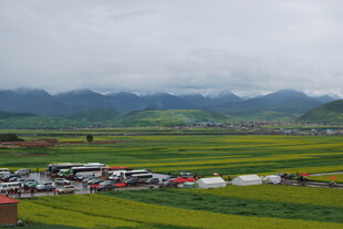 田园风光中的多彩露营场景