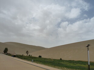 沙漠旁的绿意公路景观