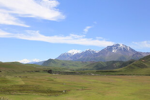 草原远眺巍峨雪山
