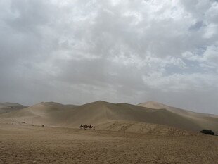沙漠风光 驼队悠然前行