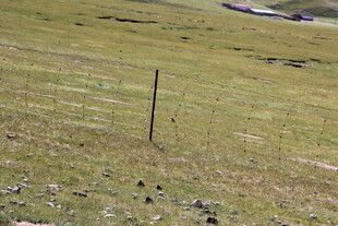 草原上的围栏与散落石块