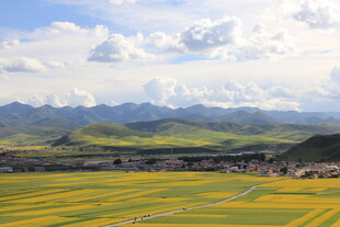 草原花海与远山美景