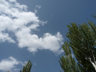 蓝天绿树间的白云景致