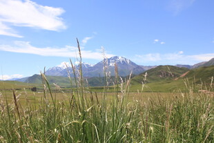 草原上的壮丽雪山景观