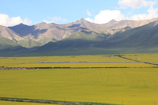 草原与远山的壮美风光