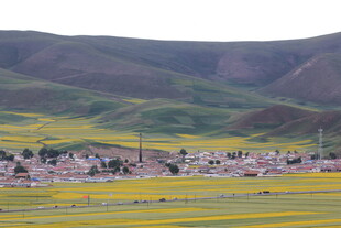 田园风光中的多彩村落
