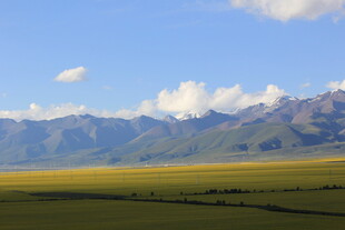 草原与远山的壮美风光
