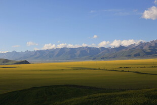 广袤草原与远处雪山美景