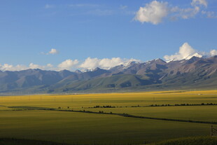 草原与远山的壮美风光