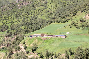 山间绿野中的静谧建筑