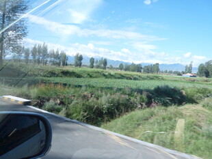 车窗外的乡村公路风景