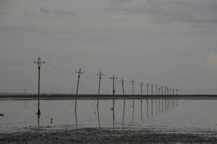 水上电线杆的独特景致