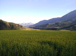 广袤田野与远处山峦风光