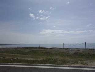 公路边的开阔风景