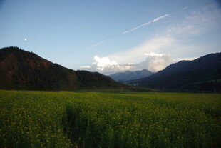 绿野青山间的美丽风光