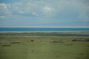 草原与海的辽阔景致
