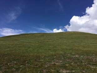 辽阔草原上的蓝天白云