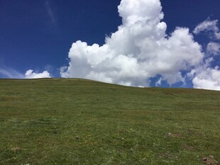 草原蓝天 白云悠悠