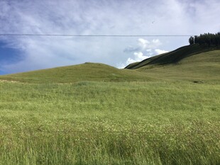 广袤草原 蓝天绿地美景