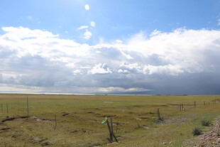 草原上的劳动者