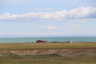 草原与海的辽阔景致
