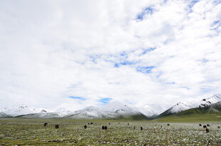 草原雪山蓝天风景图