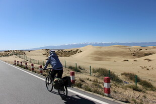 公路骑行者穿行沙漠景观