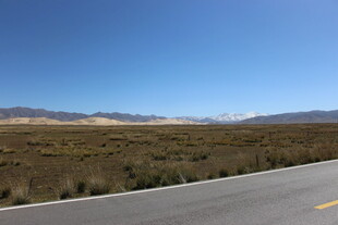 空旷公路旁的开阔原野