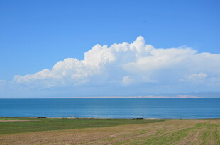 海边蓝天草地美丽风光
