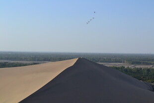 沙漠风光 广袤无垠的沙丘