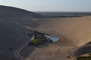 沙漠中的绿洲景观