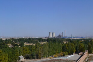 城郊风光 绿树与远楼相衬