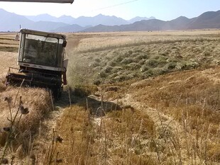 田野中作业的农用机械