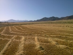 广袤田野 尽显大地之美