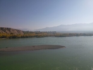 宁静湖畔的自然风光