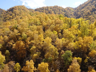 秋日山林斑斓美景