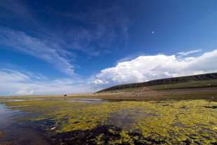 草原湿地蓝天美景