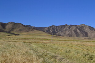 广袤草原与连绵山脉