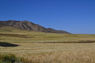 广袤田野与远处山峦