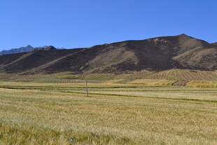 广袤草原与远山风景