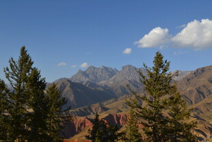 山间松林与远处巍峨山脉