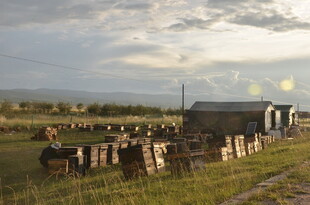 乡村牧场傍晚景象