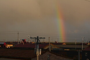 田野上空的绚丽彩虹