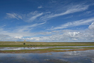 草原湿地风光 一人漫步