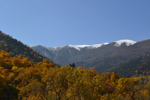 秋日山林与远处雪山美景