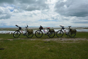 草原上停放的多辆自行车