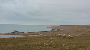 广袤草原边的宁静水域