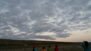 草原上的人群与黄昏天空