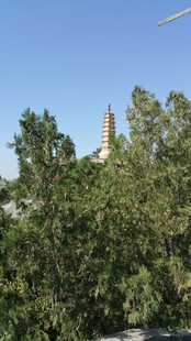 绿树掩映下的建筑尖顶