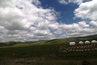 草原上的白色帐篷景观